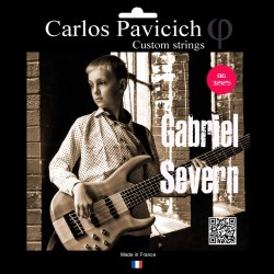 Gabriel Severn  6 strings Bass set Stainless steel 32-125