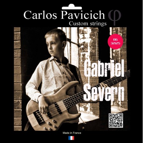 Gabriel Severn  6 strings Bass set Stainless steel 32-125