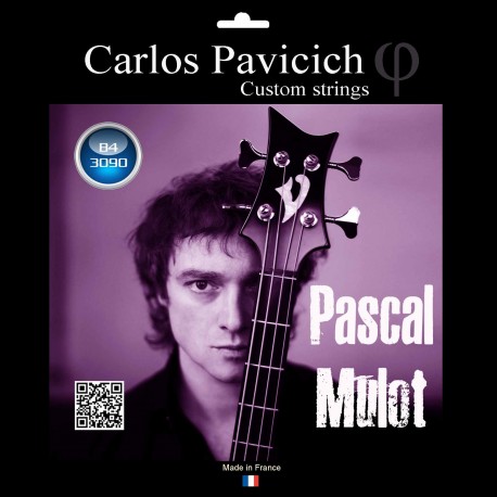 Pascal Mulot   4 trings Bass set 30-90